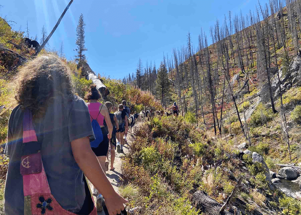 Group of Wild Hearts Idaho participants hiking through a scenic wilderness trail, surrounded by rocky terrain.