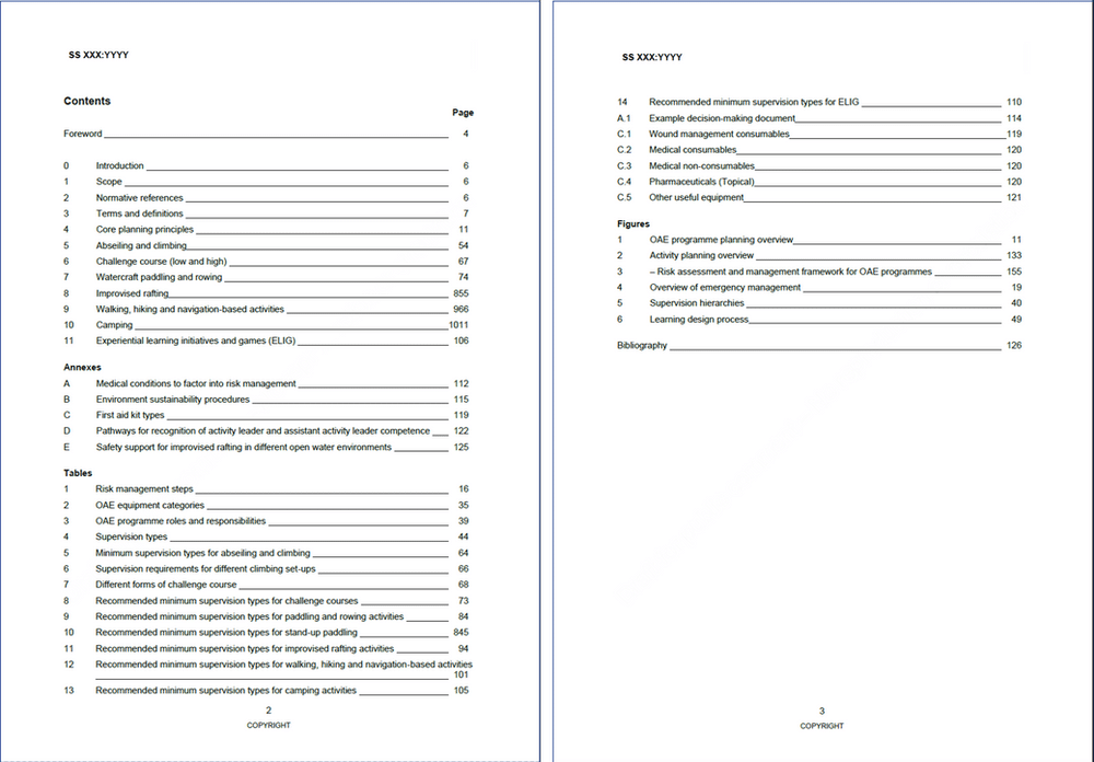 The Table of Contents of the draft Standard. 