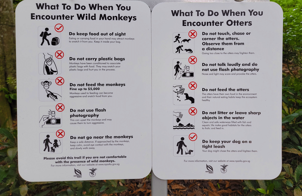 A sign with monkey and otter safety practices in Singapore. 