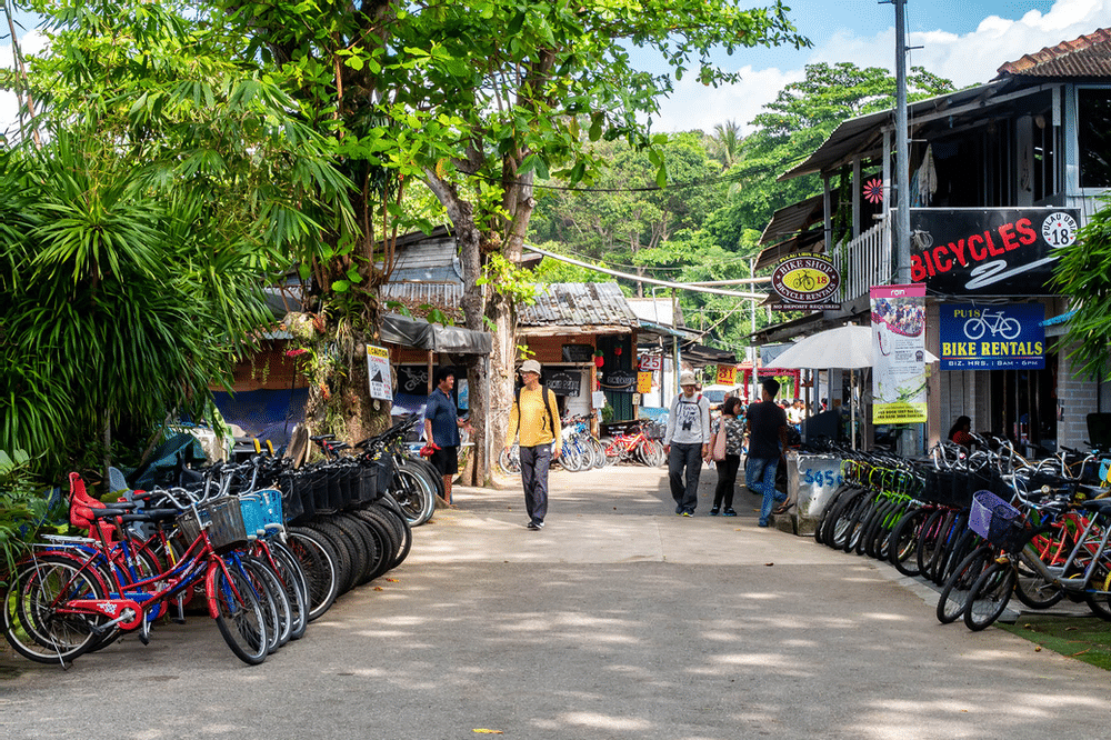 Bicycles lined up, ready for adventure on Pulau Ubin, Singapore, set against a lush green backdrop. The scene captures a lively atmosphere with tropical vegetation.