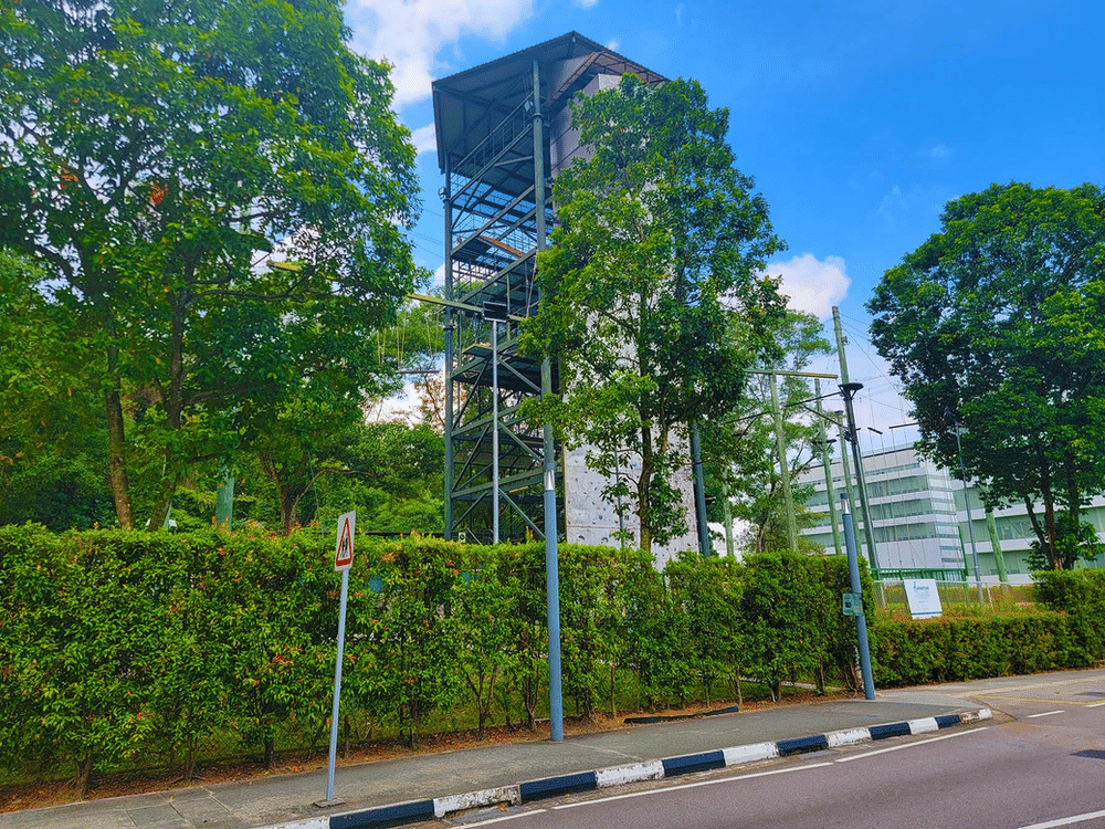 Photo of a high ropes challenge course in Singapore.