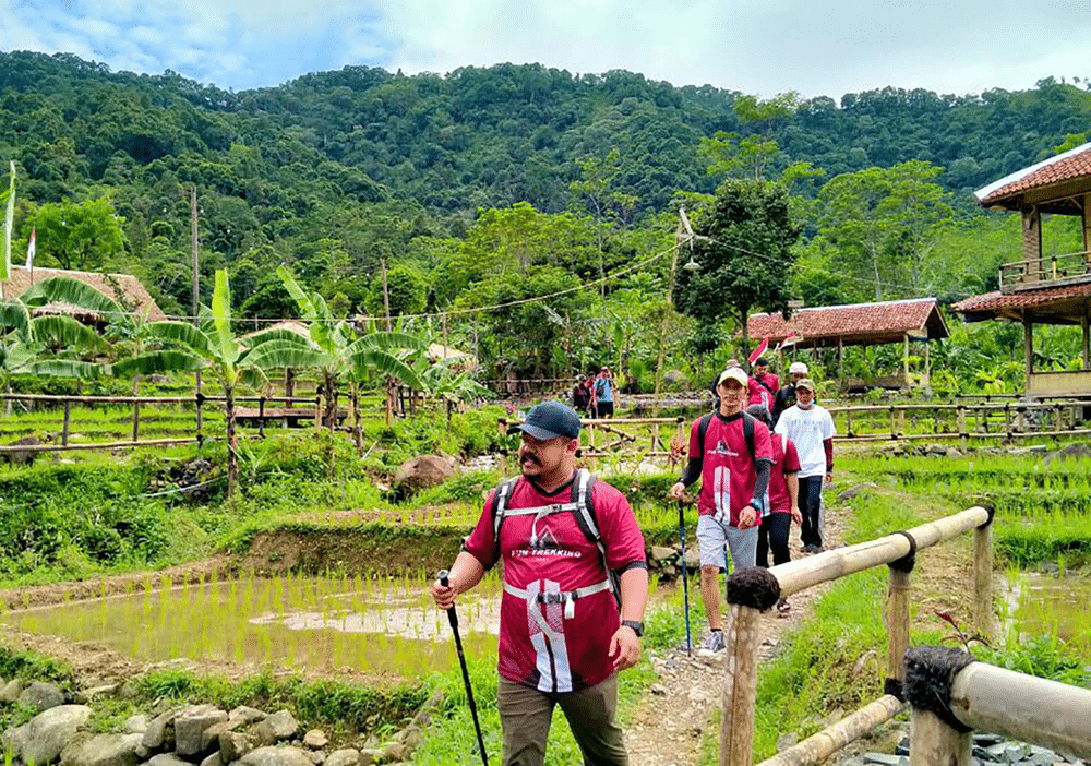 Hikers walking through a lush forest with wooden structures in the distance.