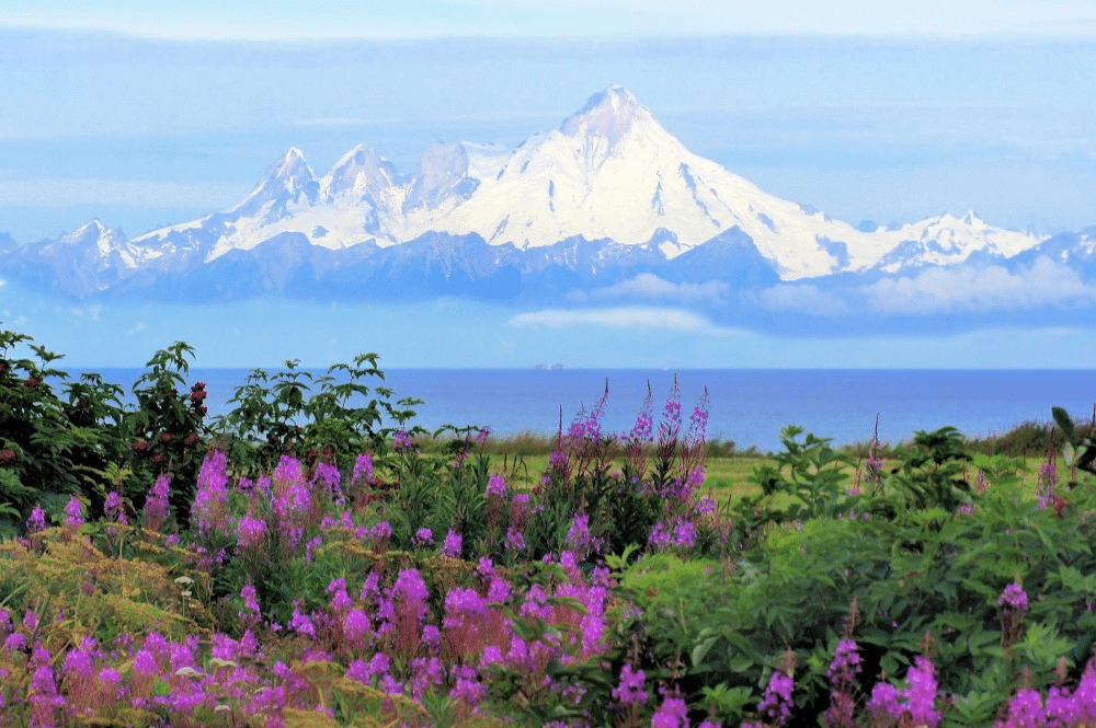 Mountain in Alaska