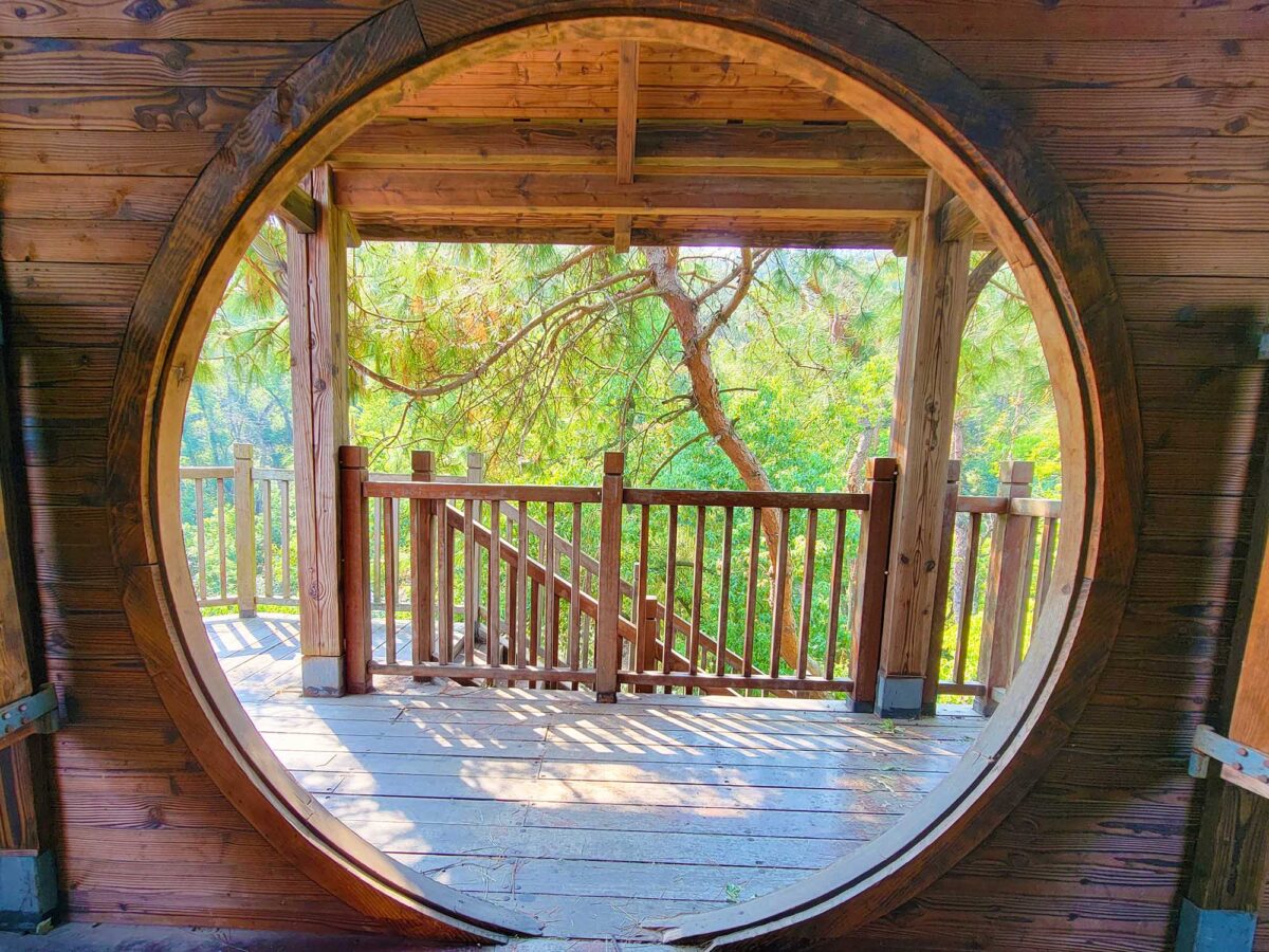 View from inside a treehouse at Moshan Hill, showcasing lush greenery through the wooden window frame.